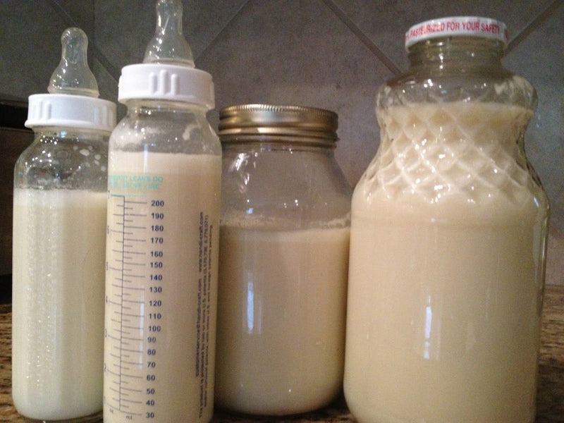 Natural Mammas Supplementing Breastfeeding: Plant based Baby Formula is an Option