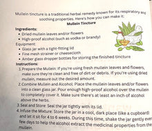 Load image into Gallery viewer, Prince’s Vegan Cookbook
